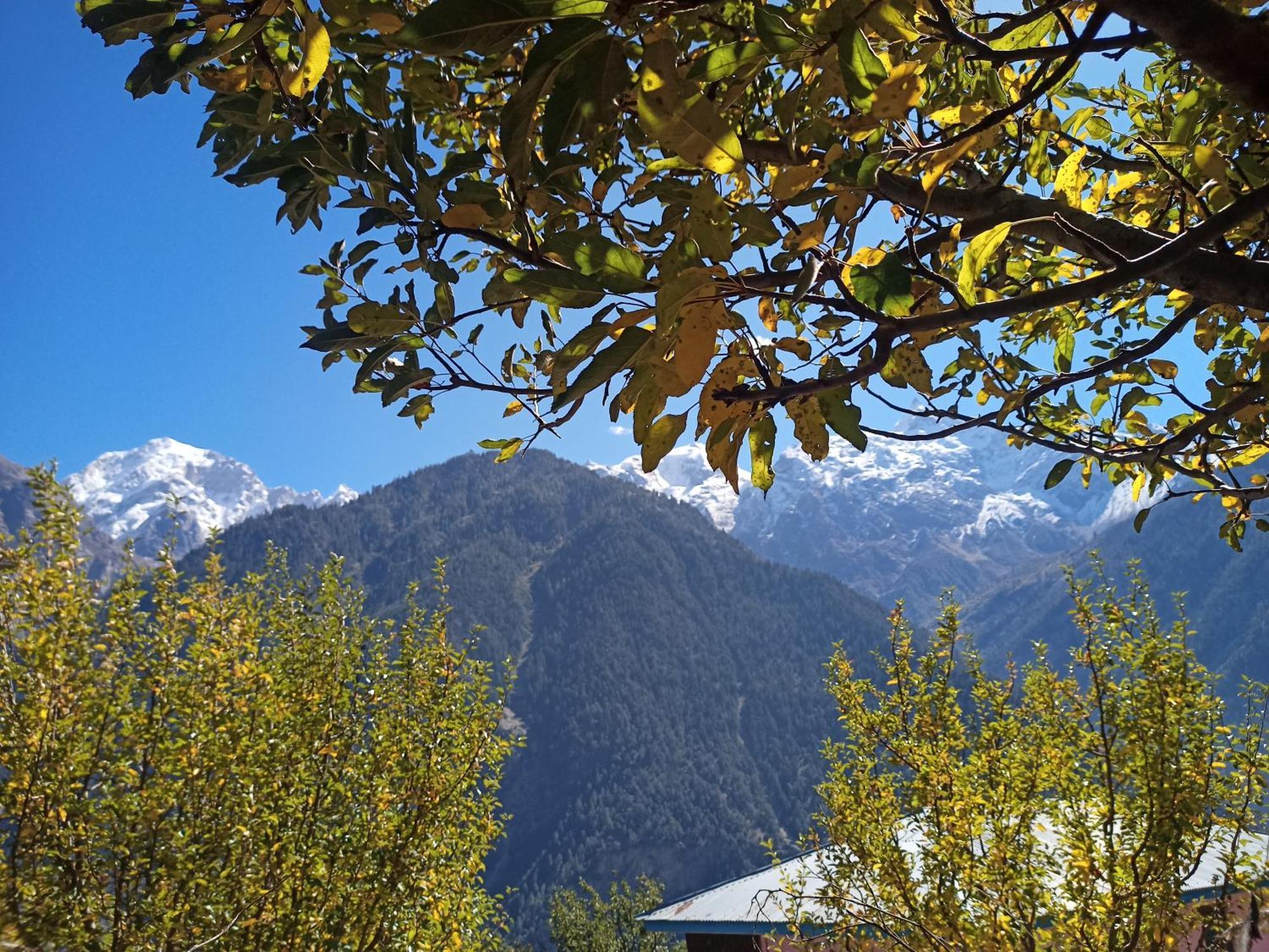 The Shudarang Inn Kalpa Luaran gambar